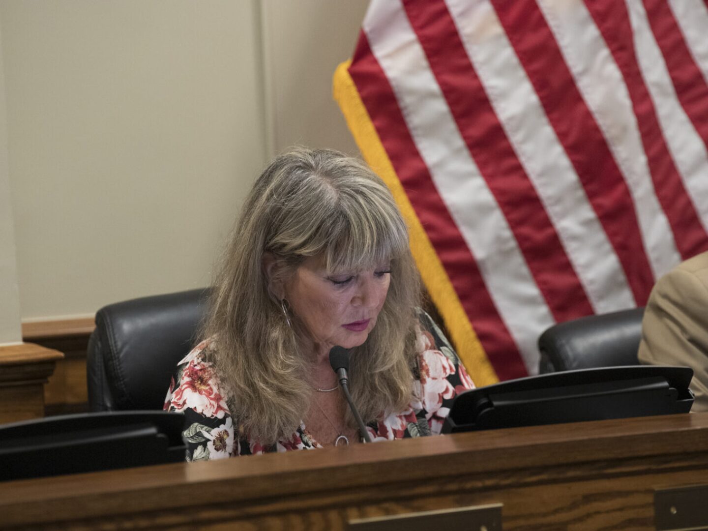 Rep. Carol McEntee, a South Kingstown Democrat and sponsor of a comprehensive bottle bill, was disappointed by the revisions reducing the legislation to a state-commissioned study.