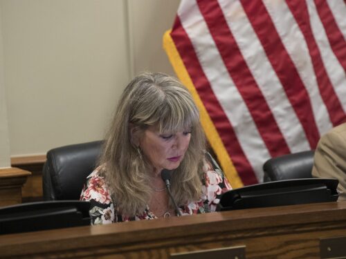 Rep. Carol McEntee, a South Kingstown Democrat and sponsor of a comprehensive bottle bill, was disappointed by the revisions reducing the legislation to a state-commissioned study.