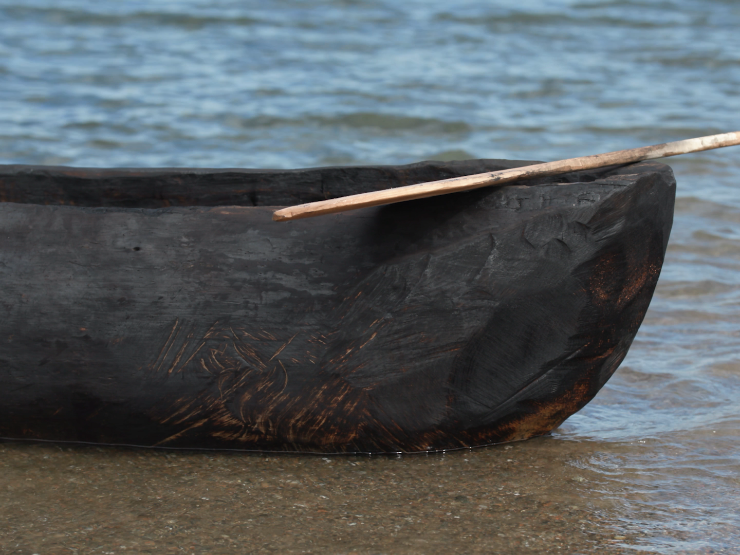 Members of the Wampanoag Nation make a traditional dugout canoe called a "mishoon" to mark the 350th anniversary of Little Compton