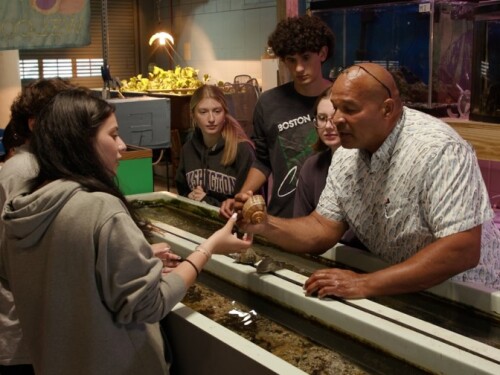 Teacher Leonard Baker, right, examines a crustacean while teaching aquaculture, the science of plants and animals in water, at Cranston High School West.