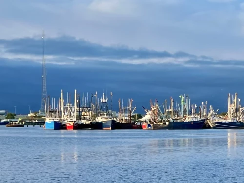 Morning light on fishing boats in New Bedford Harbor, Aug. 17, 2023.