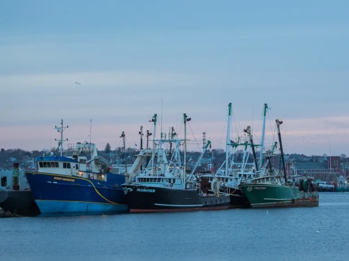 New Bedford is the nation’s highest-grossing fishing port.