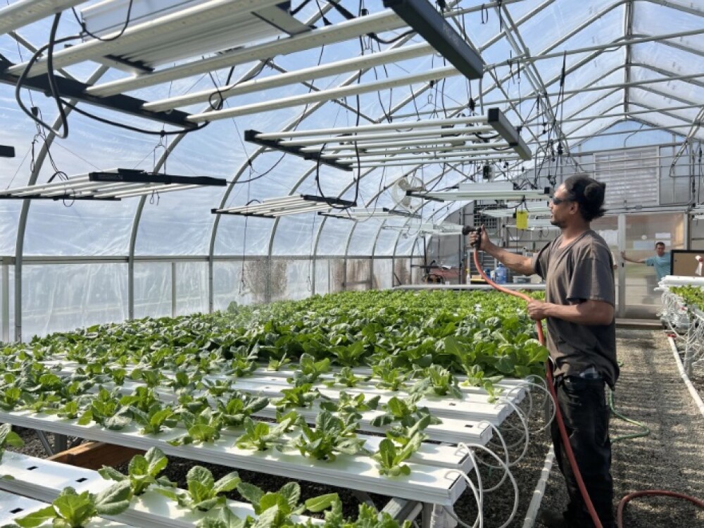 Supervisor Michael Martins watering plants at the Mashantucket Pequot Tribal Nation's farm.