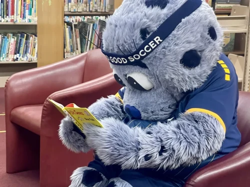 Chip, the Rhode Island FC harbor seal mascot, will be visiting Providence libraries this summer.