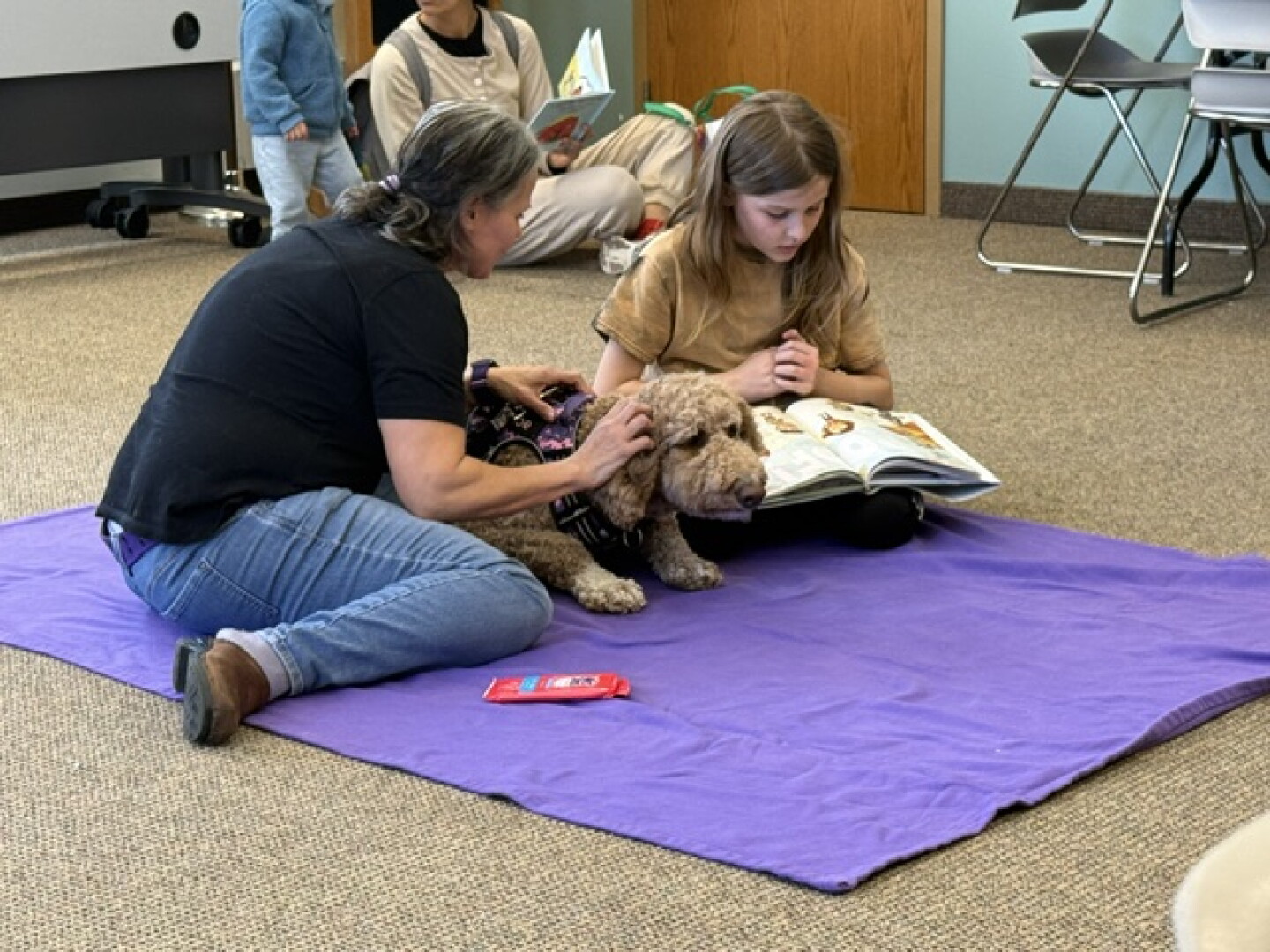 Chloe the Goldendoodle is the dedicated therapy dog for the Middletown Library. She's laying down on a purple blanket while a young person reads a book to her. An adult is giving her skritches because she is a good girl.