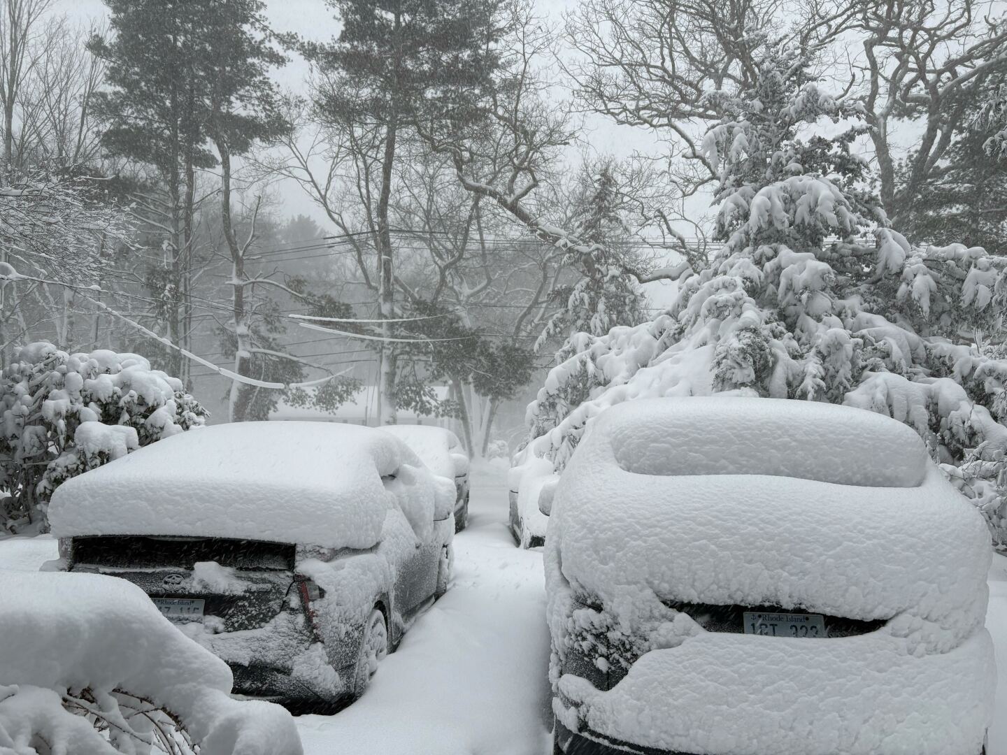 Snow blankets vehicles in Smithfield, RI on Monday morning during blizzard.