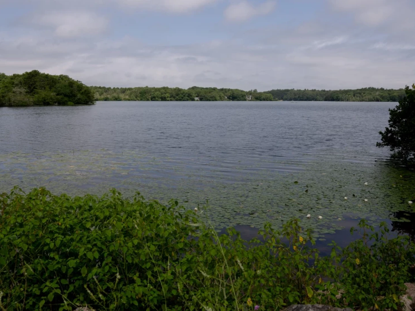 Santuit Pond is pictured on Saturday, July 22, 2023, in Mashpee, Mass.