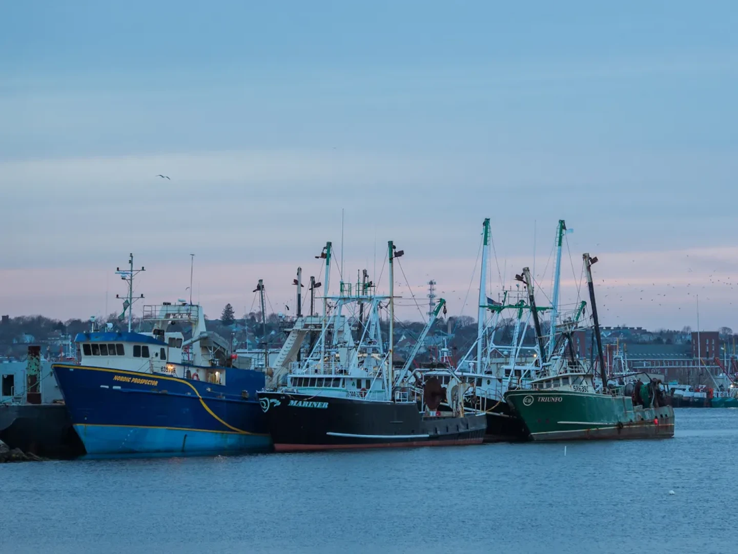 New Bedford is the nation’s highest-grossing fishing port.